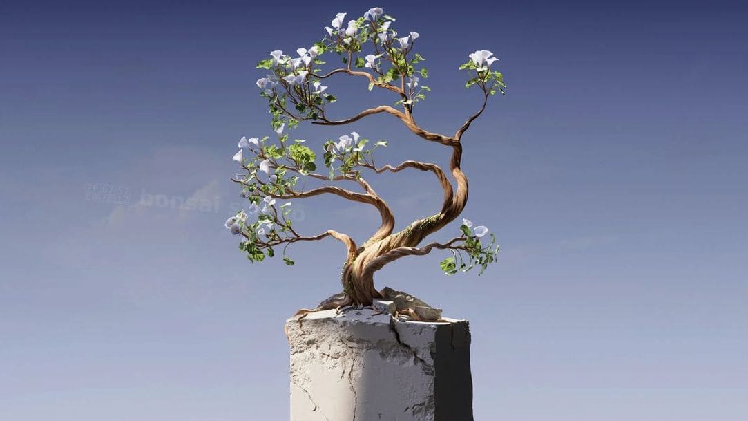 翠松園 bonsai studio