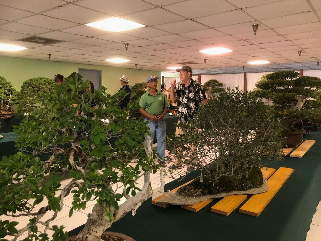 翠松園 bonsai studio